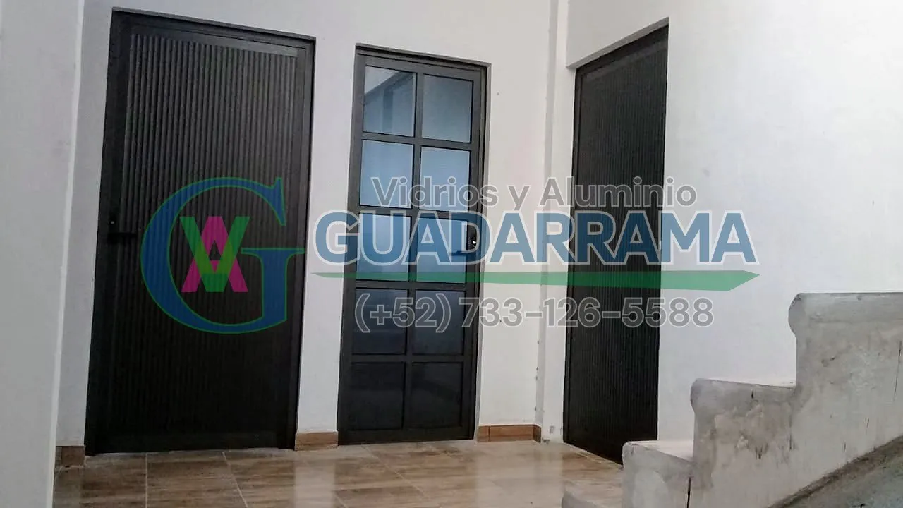 Una puerta abatible de aluminio negro con vidrio filtrasol.